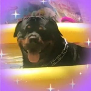 Meet your Posher, Jackie